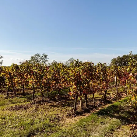 Вилла La Chartreuse Des Moulins Montazeau